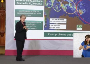 Cancún reunirá a expertos del mundo en la primera gran cumbre internacional para enfrentar el sargazo