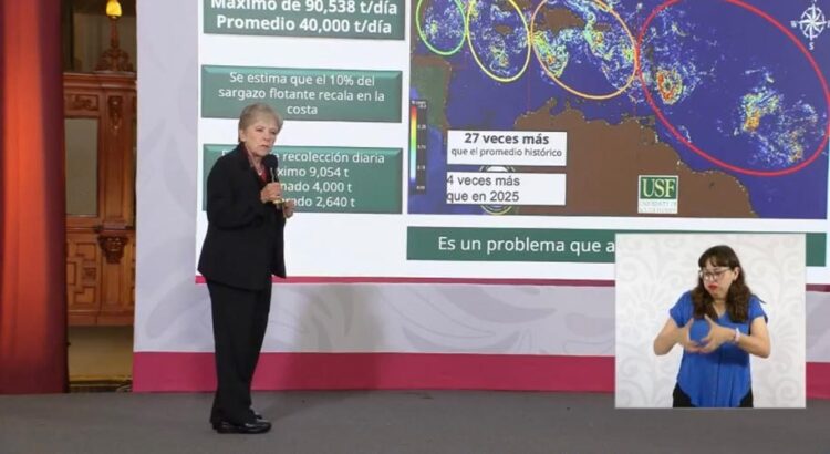 Cancún reunirá a expertos del mundo en la primera gran cumbre internacional para enfrentar el sargazo