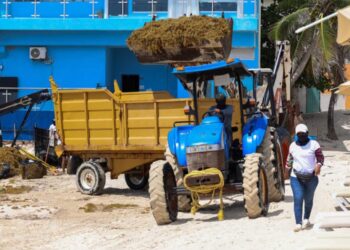 Respalda Playa del Carmen inversión federal contra el sargazo