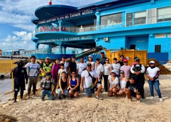 Amexme se suma al combate del sargazo en Playa Fundadores