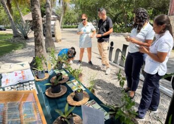Impulsan adopción de plantas nativas para conservar la biodiversidad