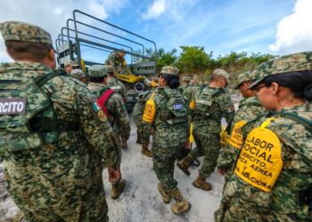 Quintana Roo se suma a la reforestación nacional; Mara Lezama encabeza jornada desde Caobas