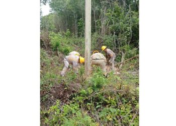 CFE refuerza trabajos para mejorar suministro
