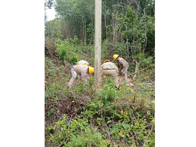CFE refuerza trabajos para mejorar suministro