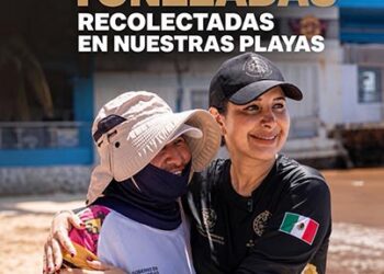Playa del Carmen supera las 35 mil toneladas de sargazo recolectadas en sus playas