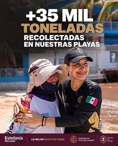Playa del Carmen supera las 35 mil toneladas de sargazo recolectadas en sus playas