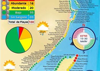 Predominan niveles moderados y bajos de sargazo en la Zona Norte