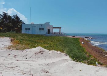 Profepa clausura predio en Yobaín por devastar 669 metros cuadrados de duna costera