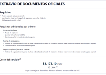 ¿Se te perdió la tarjeta de circulación o las placas? Estos son los requisitos para acreditar el extravío