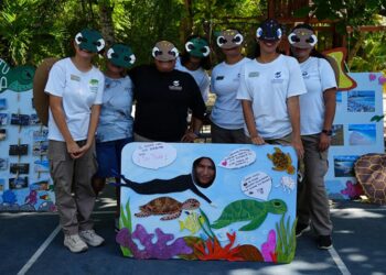 Récord de tortugas marinas en el Caribe Mexicano: Eco-Bahía registra 2,637 nidos en Playa Aventuras DIF
