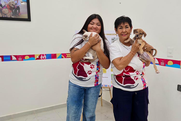Isla Mujeres fortalece el bienestar animal con servicios permanentes y adopción responsable