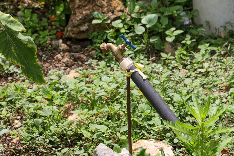 CAPA reporta 97.6% de cobertura de agua potable en Quintana Roo