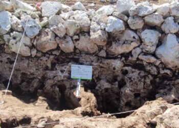 Meliponario prehispánico revela cómo se organizaban los antiguos solares mayas