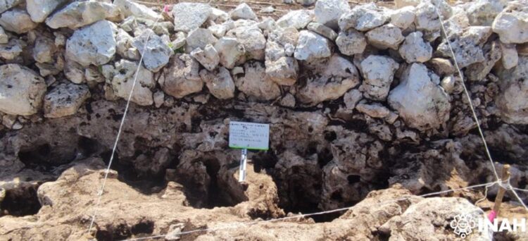 Meliponario prehispánico revela cómo se organizaban los antiguos solares mayas