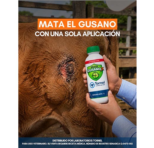 Laboratorio lanza producto contra gusano barrenador