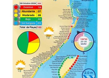 Sargazo golpea más al sur de Quintana Roo