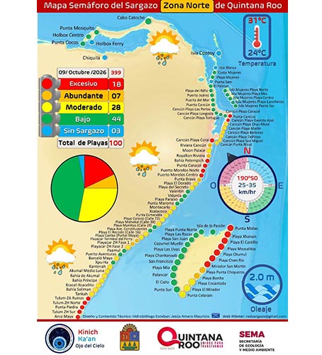 Sargazo golpea más al sur de Quintana Roo