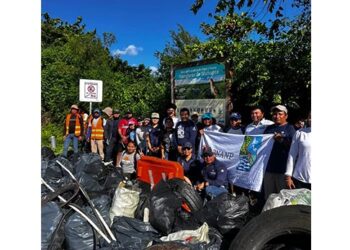 Retiran más de 1.6 toneladas de basura de los manglares de Nichupté