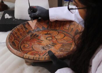 De los olmecas a los mexicas: amplían el acervo arqueológico del museo de Tulum