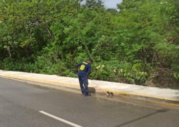 Isla Mujeres intensifica prevención ante lluvias asociadas a Isaías