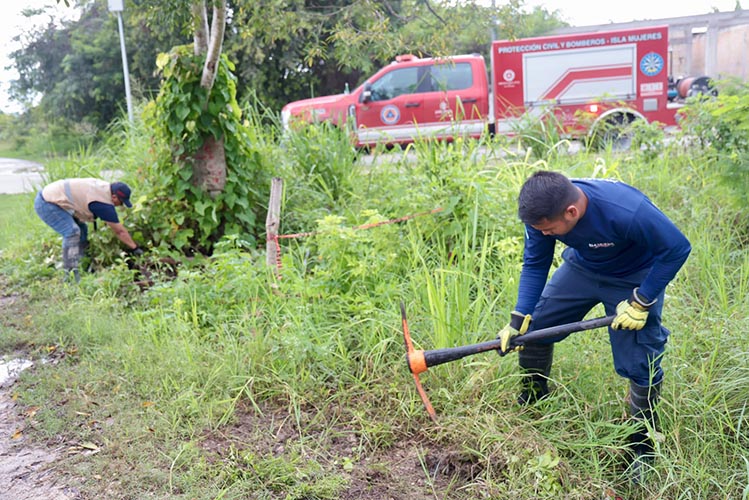 Isla Mujeres refuerza limpieza de drenajes para prevenir inundaciones por lluvias