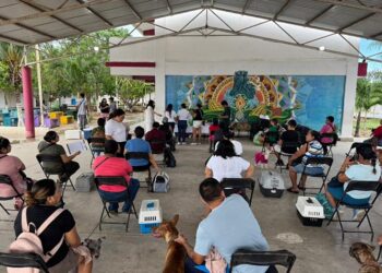 Esterilización masiva en Villas Otoch Paraíso