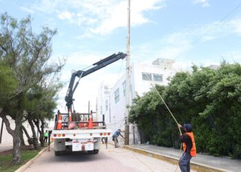 Retirarán 20 postes de energía en la avenida Juárez de Isla Mujeres