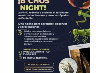 Punta Sur abrirá sus puertas al mundo de los insectos