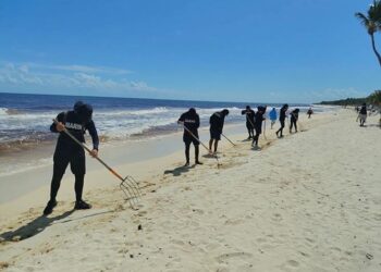 Marina refuerza limpieza de playas ante pronóstico de sargazo para diciembre