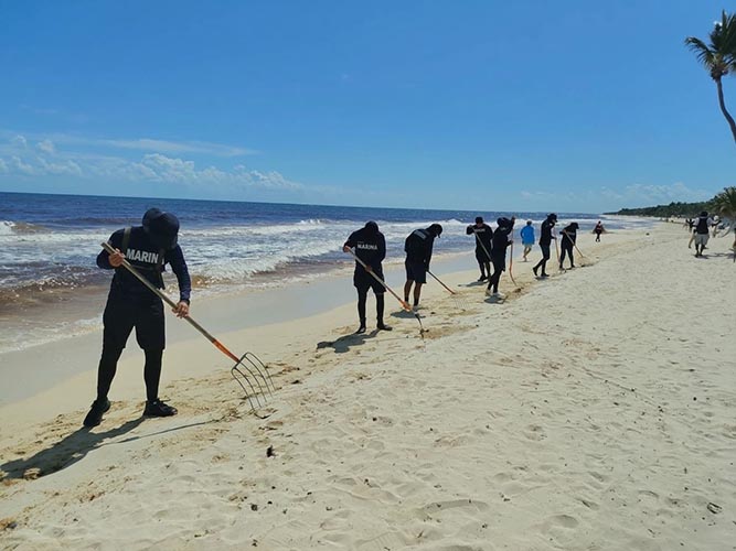 Marina refuerza limpieza de playas ante pronóstico de sargazo para diciembre